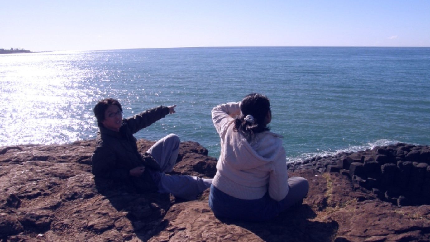 Seeing dolphins, Fingal