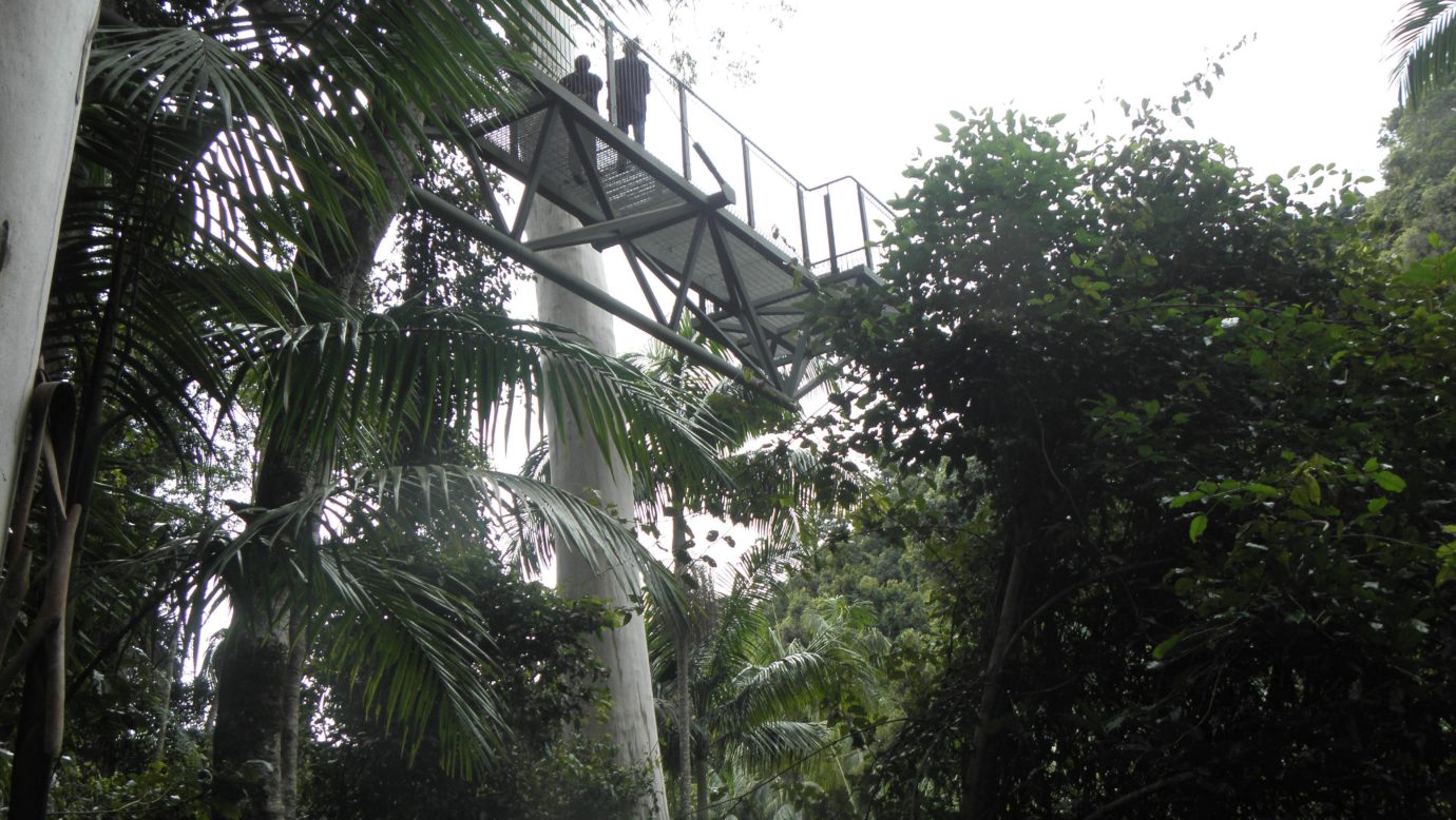 Araucaria Ecotours