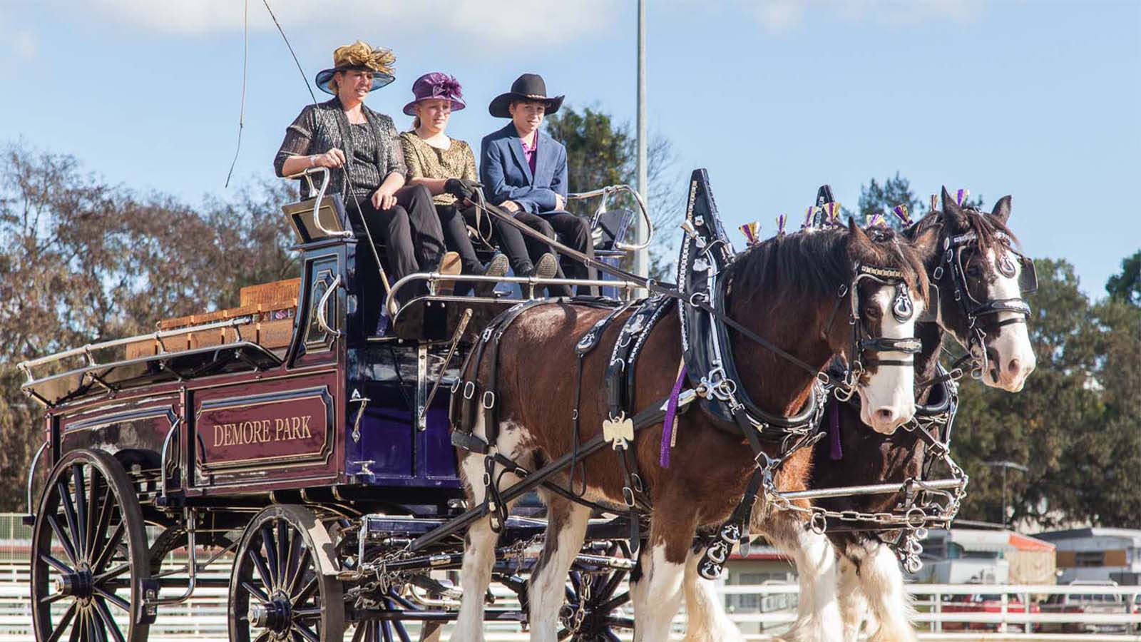 CLYDESDALE SPECTACULAR