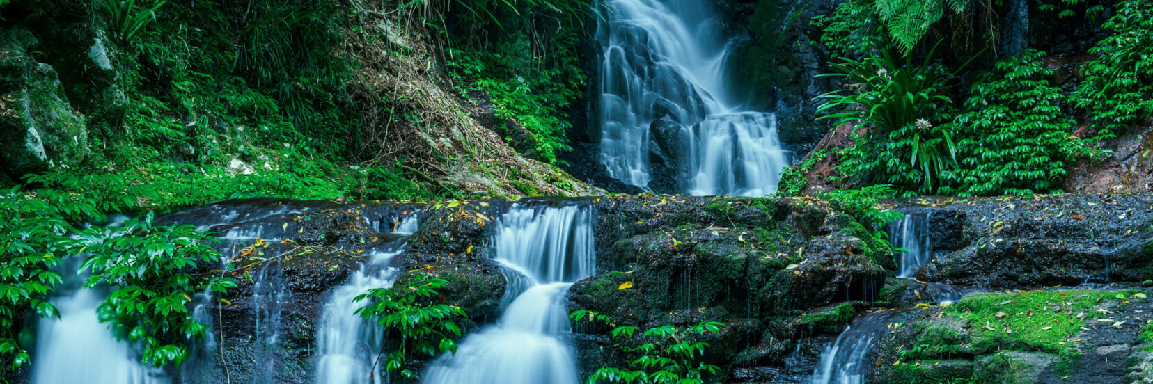 Discover ExploreParks&Nature