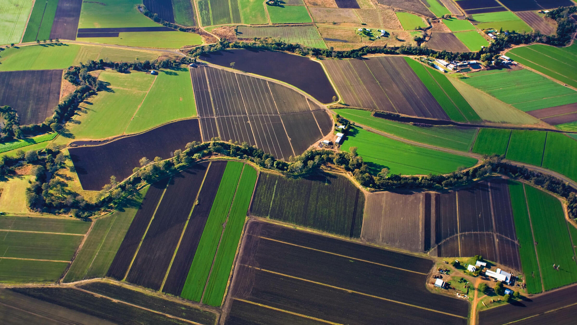 Farm Gates & Local Producers