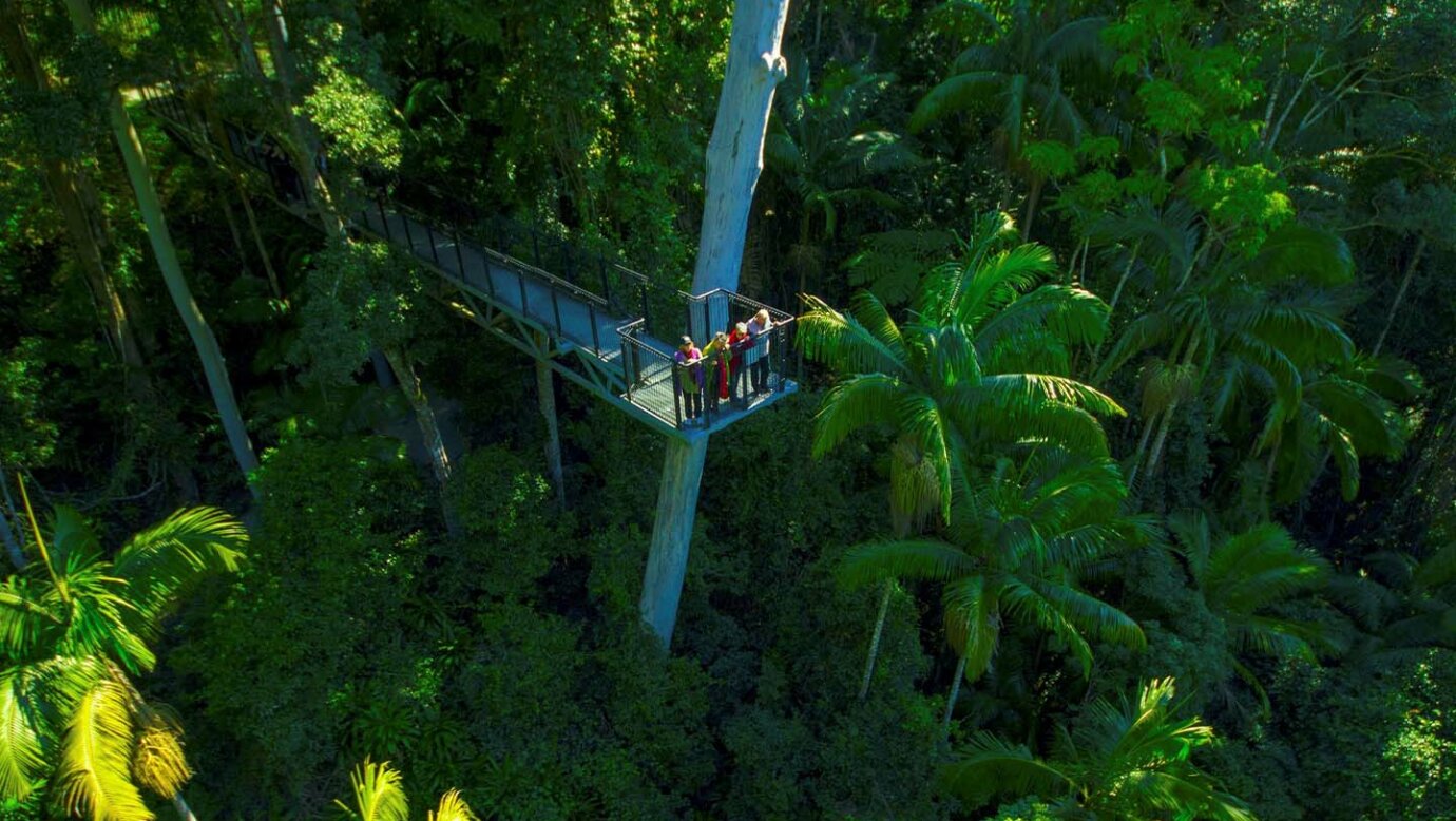 Skywalk at Tamborine Mountain