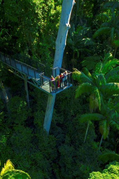 Skywalk at Tamborine Mountain