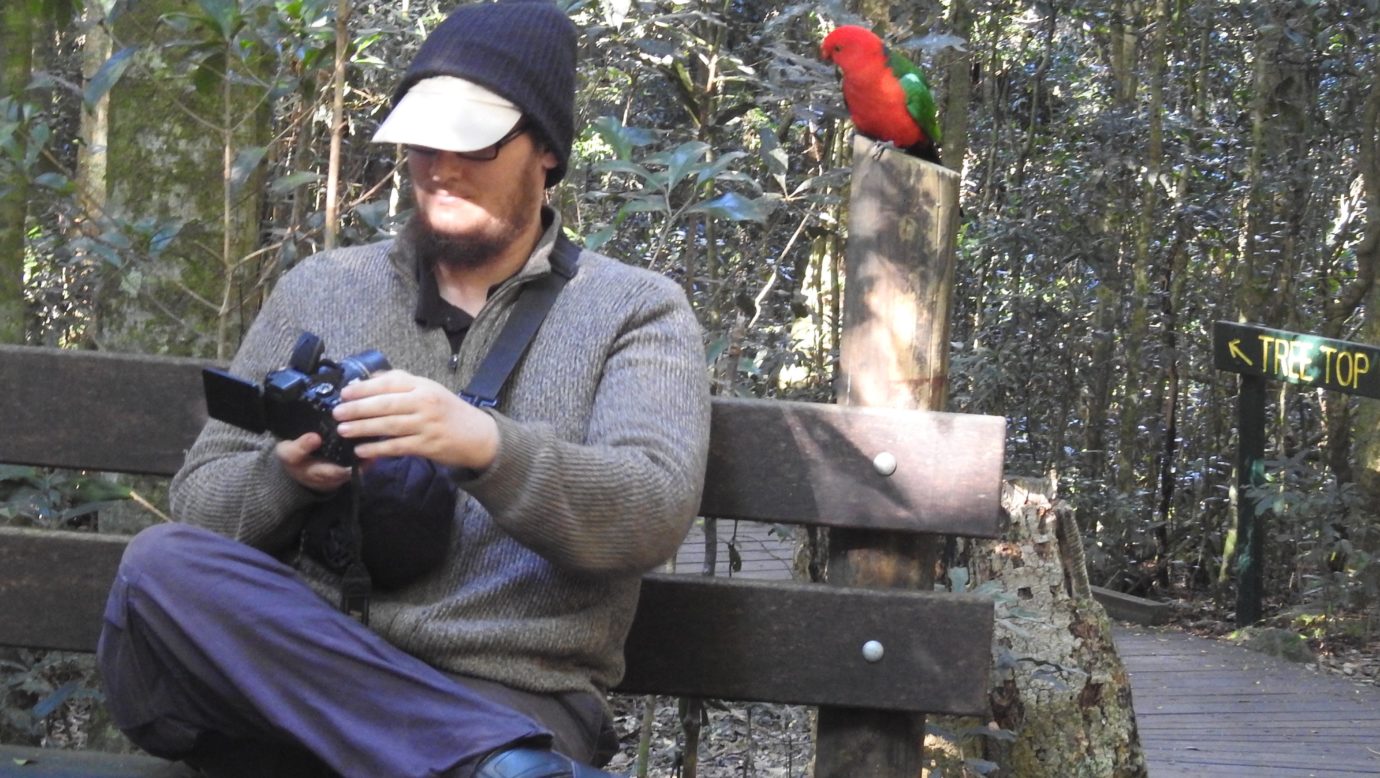 Selfie  with king parrot in forest