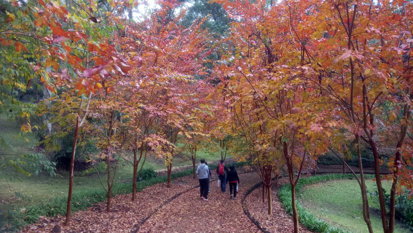 Rotunda walk