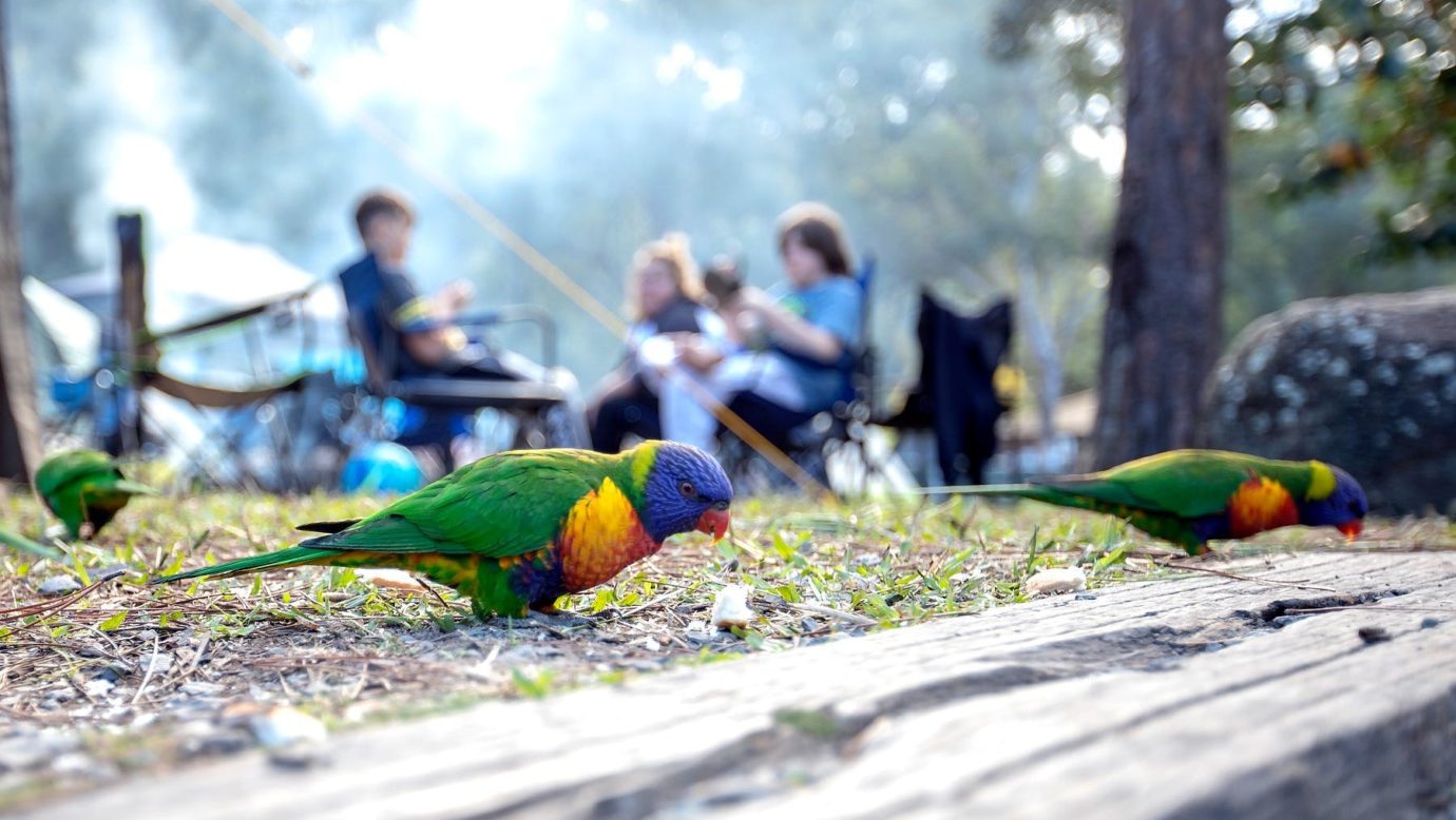 Thunderbird Park Camping