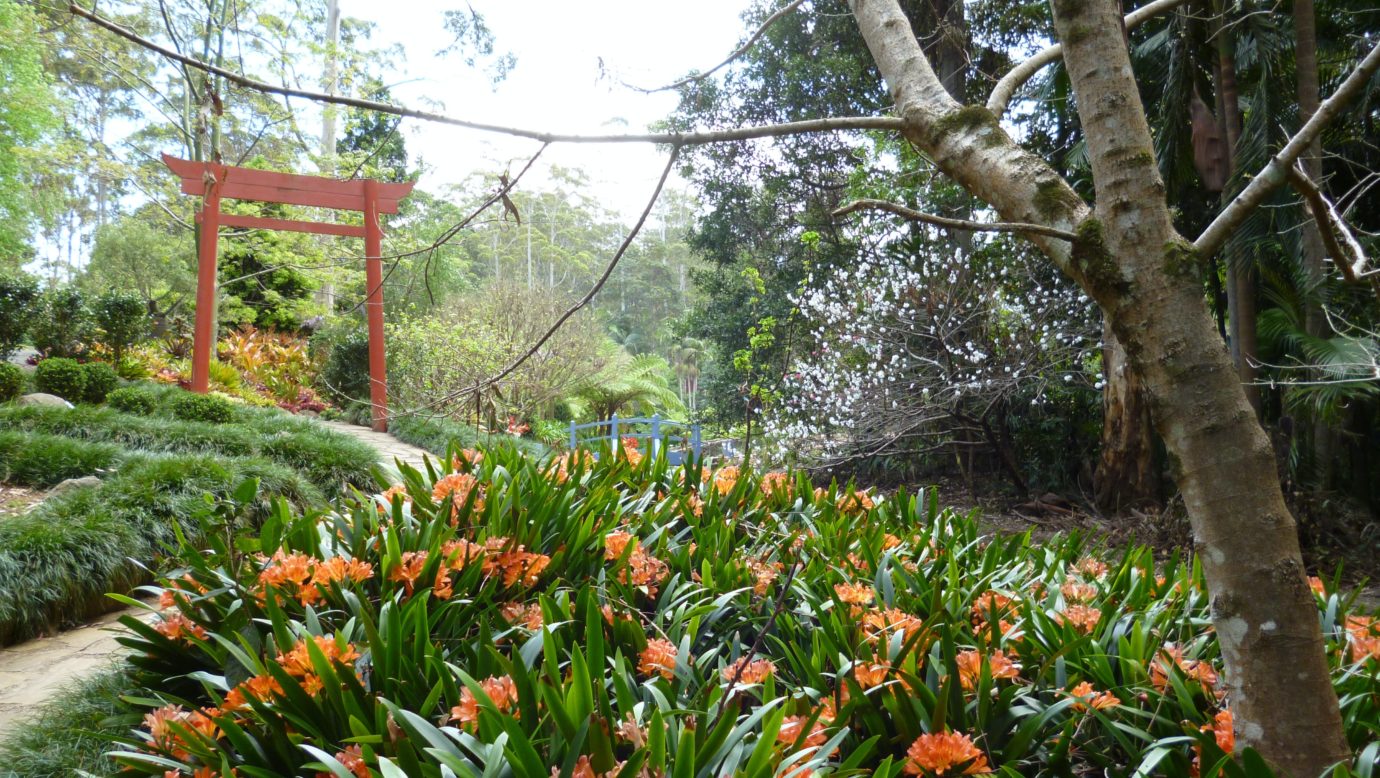 Japanese garden