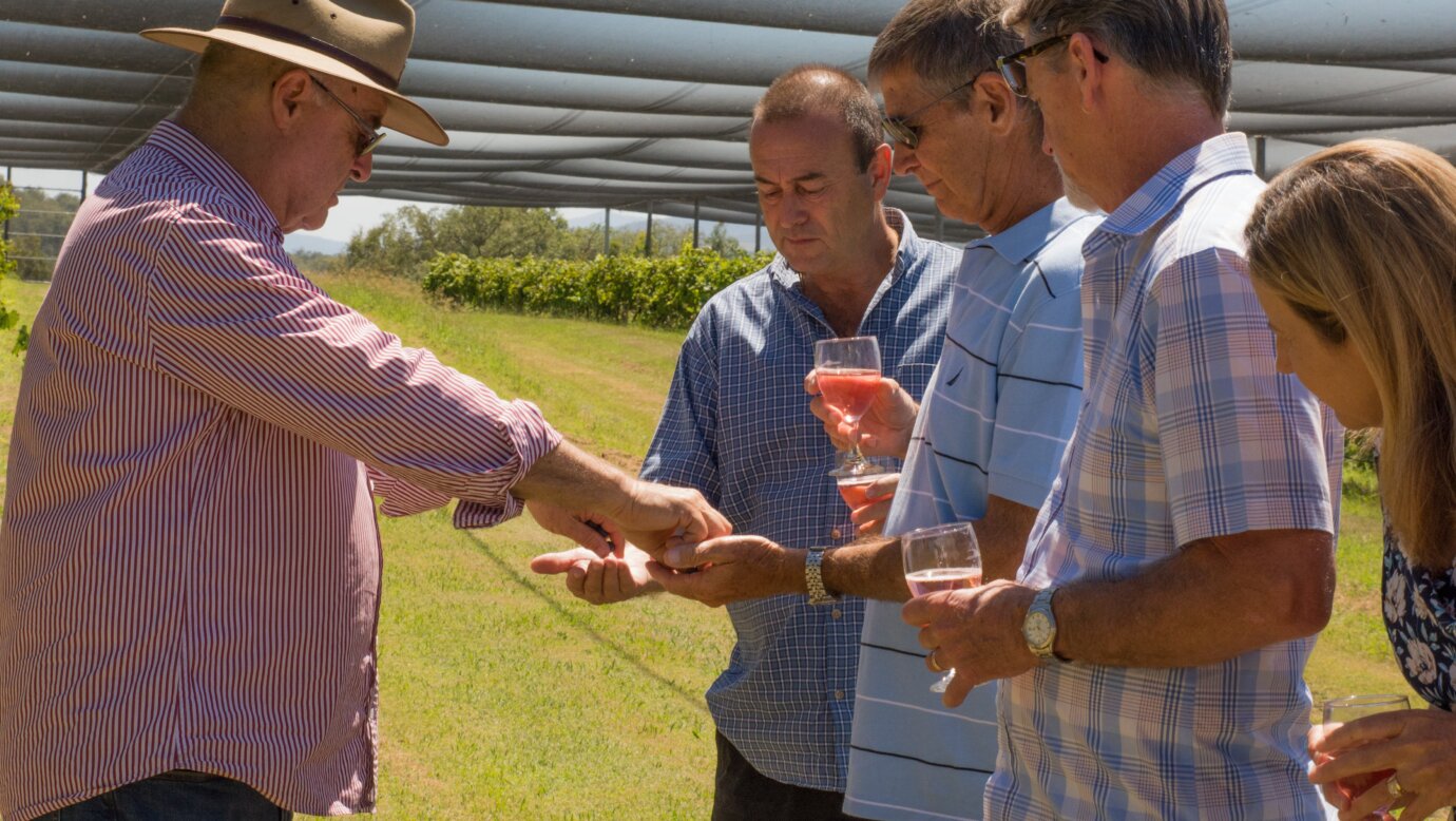 Tour groups educated on  wine and weather with Mountain Wine Tours