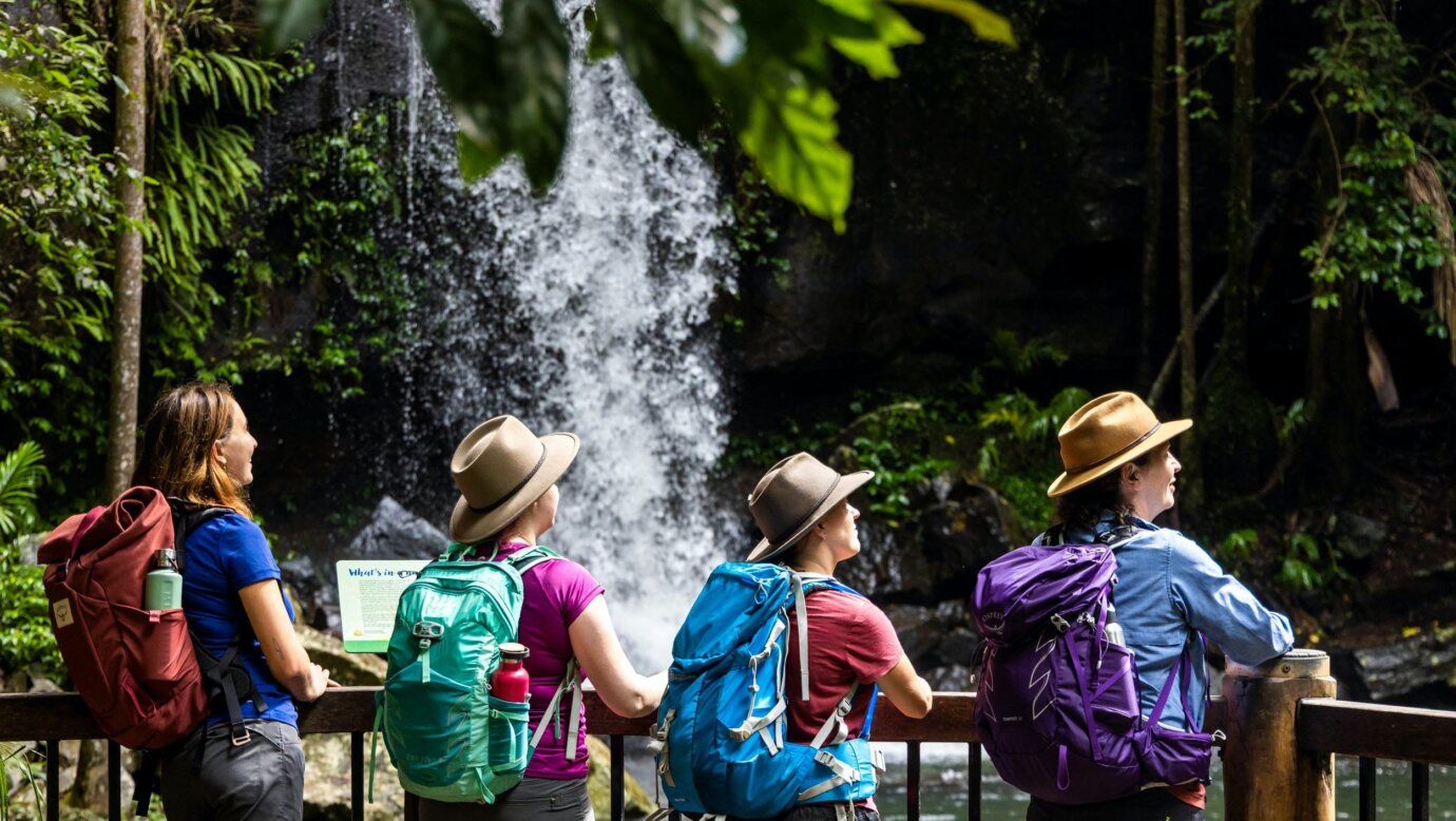 Guided Walks Scenic Rim