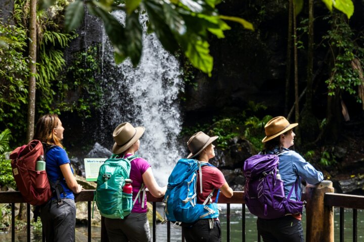 Guided Walks Scenic Rim