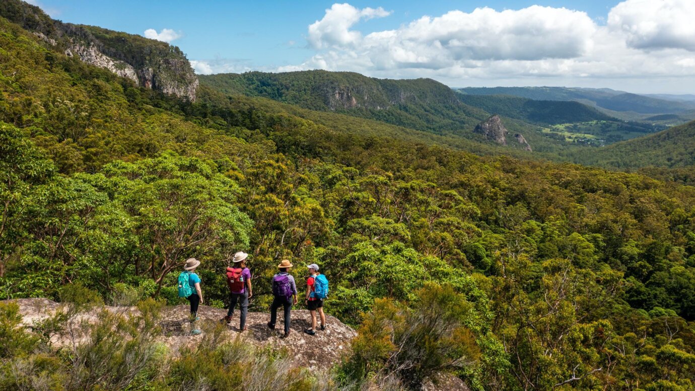 Lamington National Park guided walks