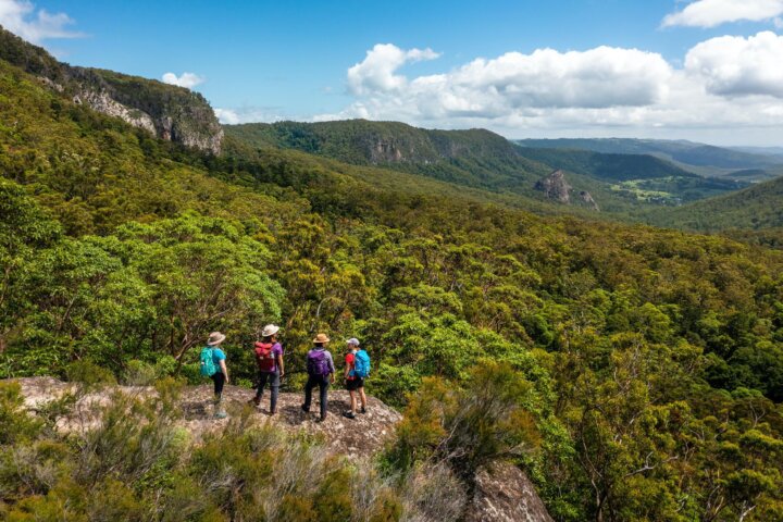 Lamington National Park guided walks