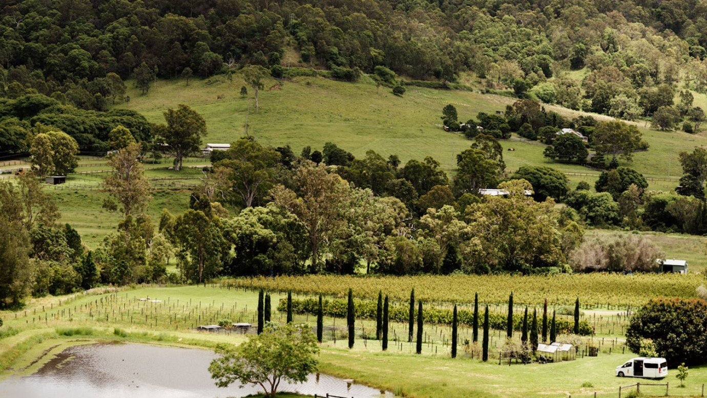 Scenic Rim Winery Tours