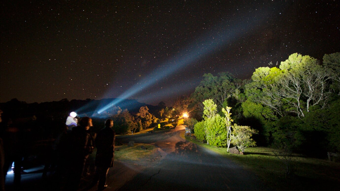 After dark night walk at Binna Burra