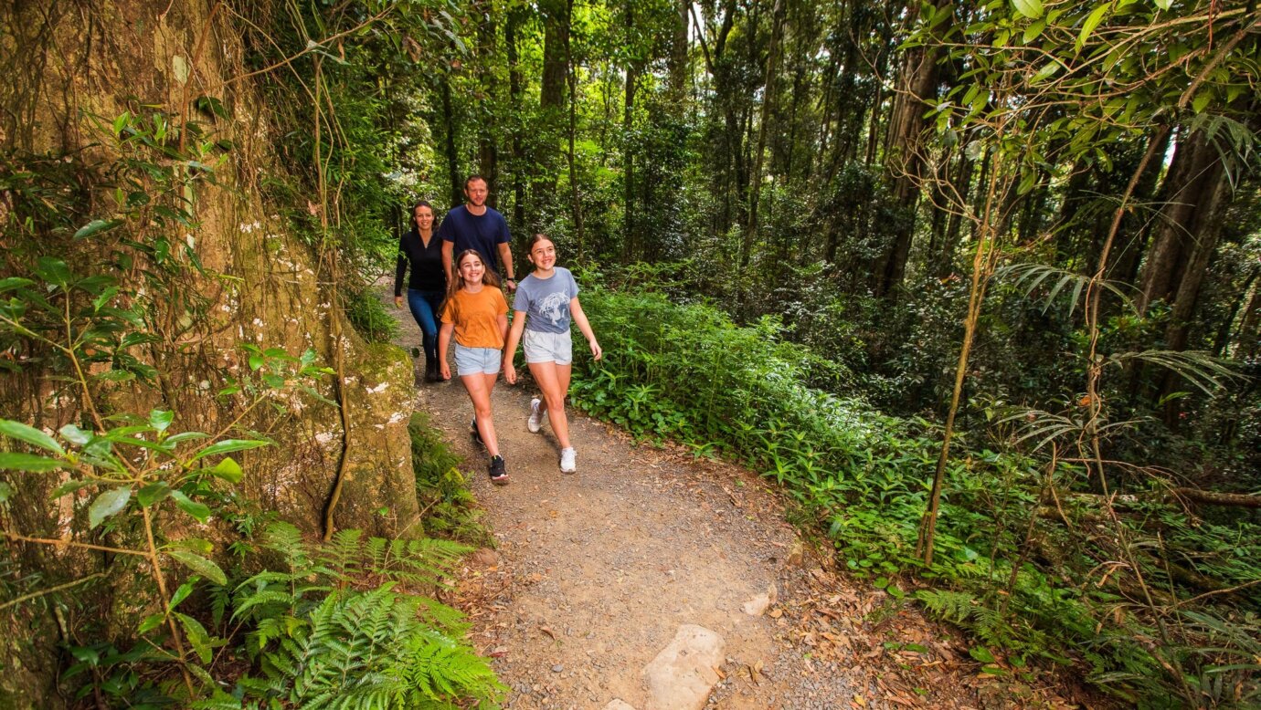 Family bushwalking in Lamington National Park