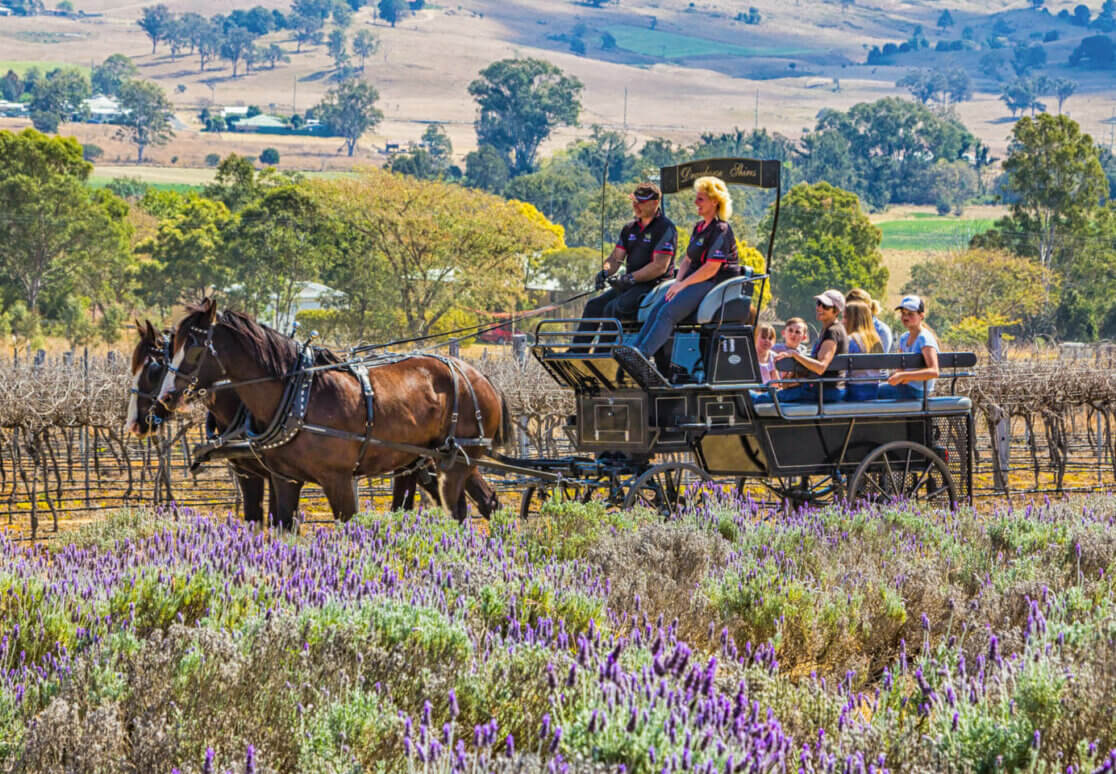 hot air ballooning scenic rim beaudesert tours