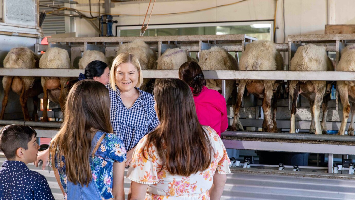 Milking Demo