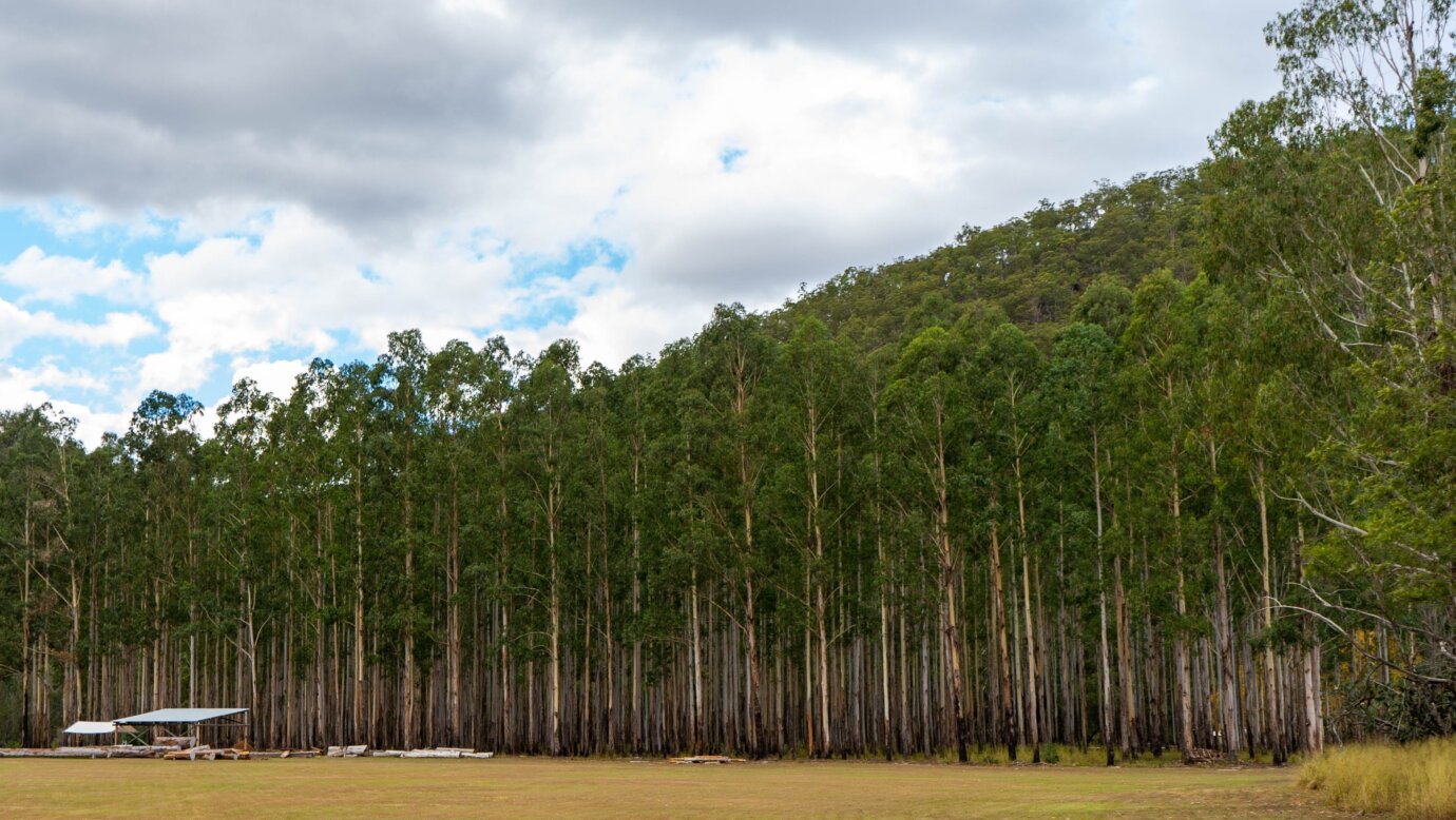 Mount Barney