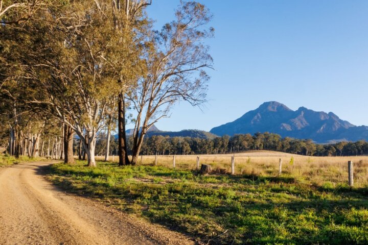 mt barney