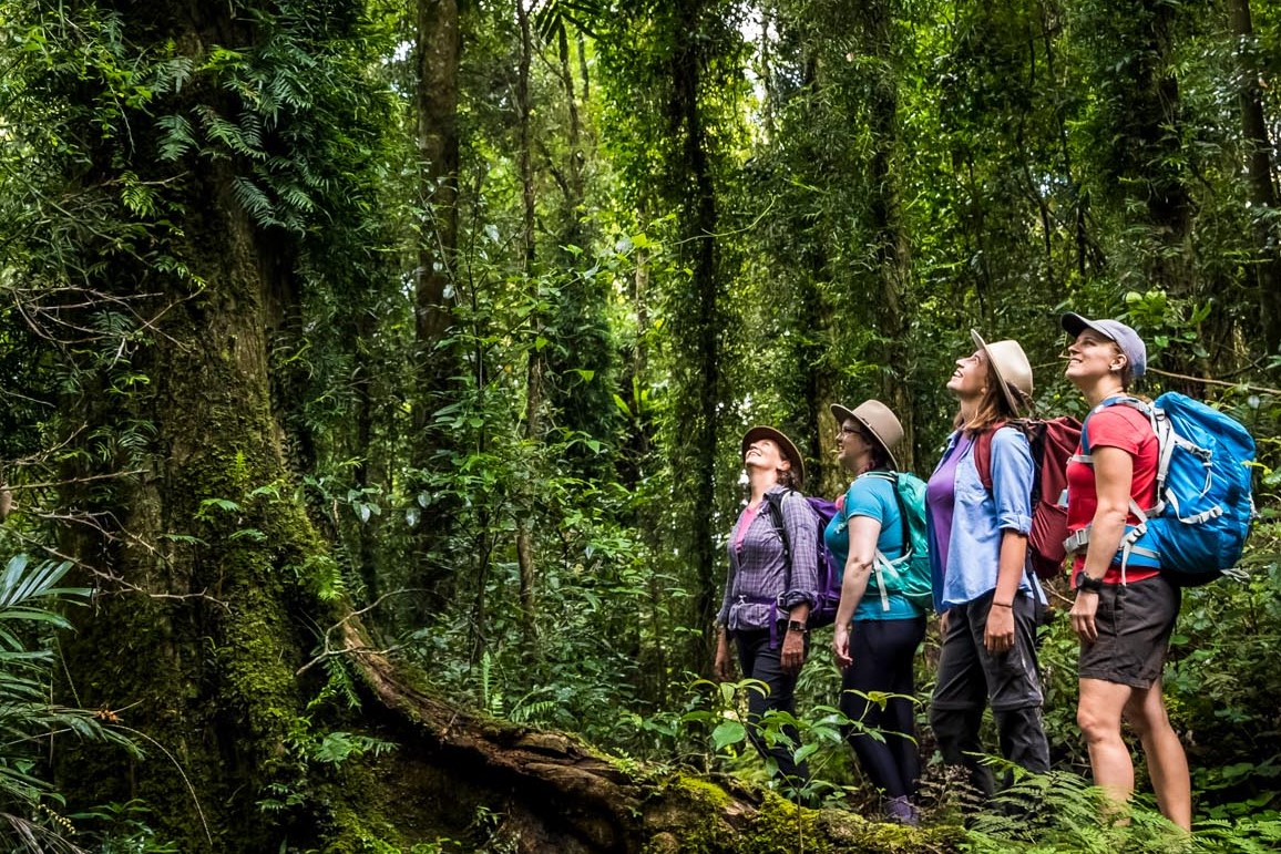 ParkTours guide Lisa Groom with a tour group in Lamington National Park