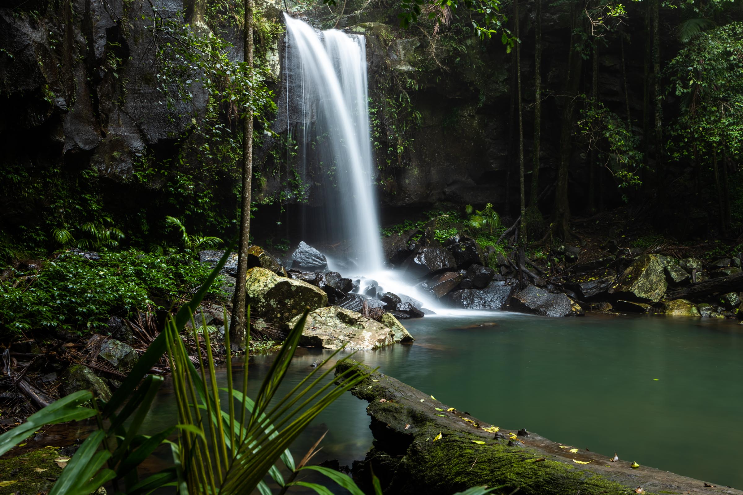 Curtis Falls, Tamborine National Park, Scenic Rim