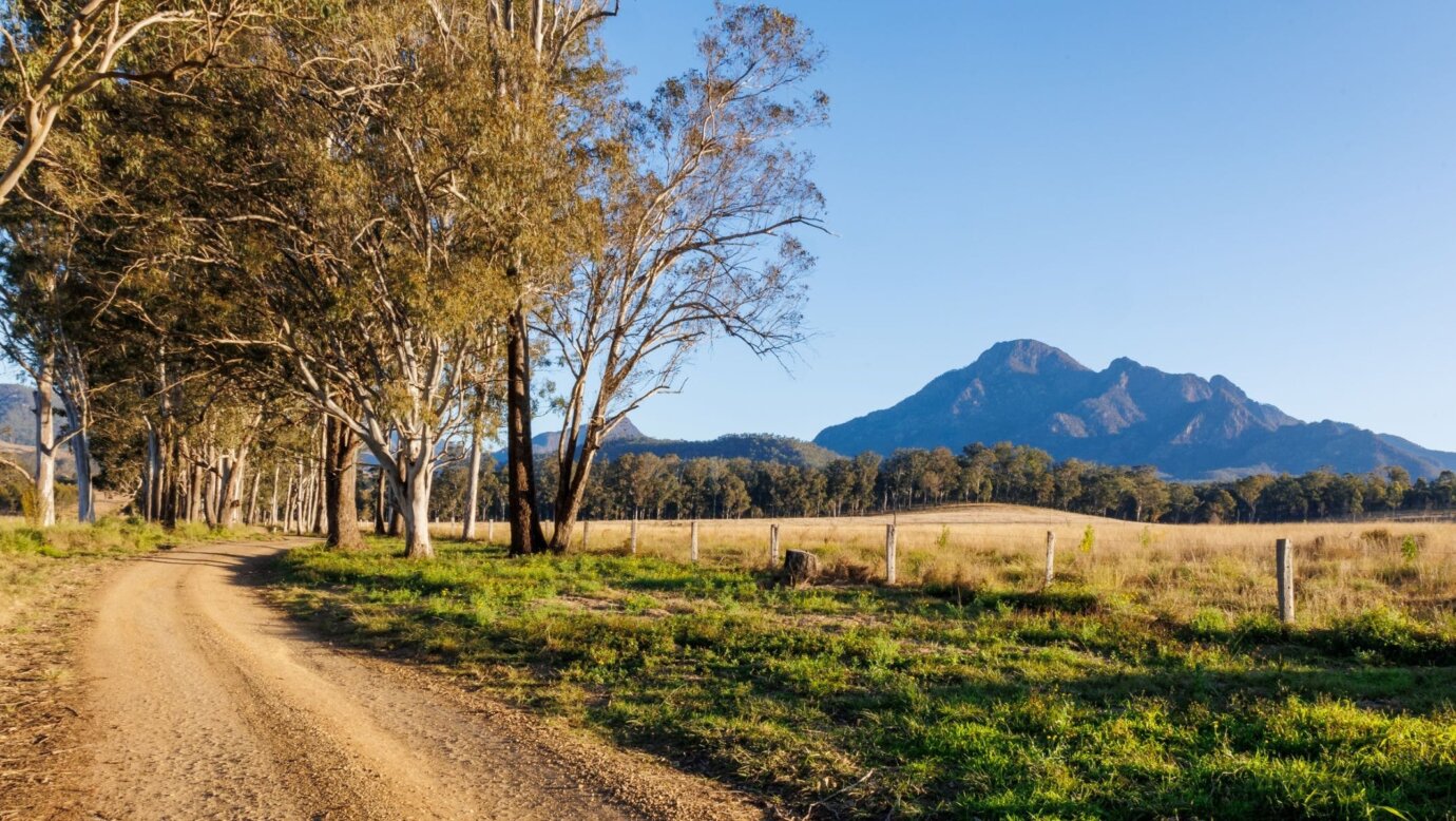 mt barney