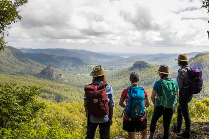 Walking in the Scenic Rim, Lamington National Park