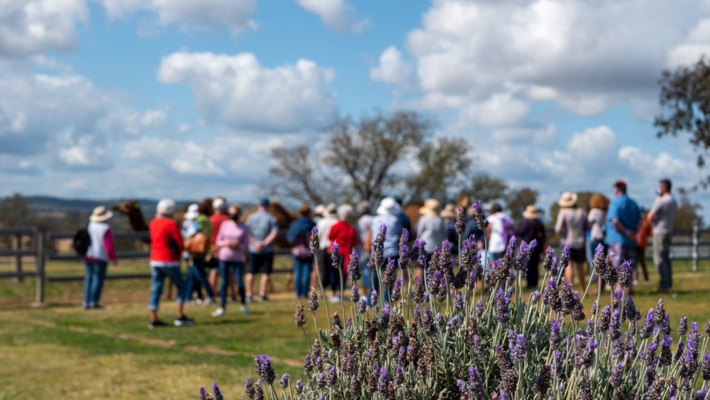 Farm Tour & Taste