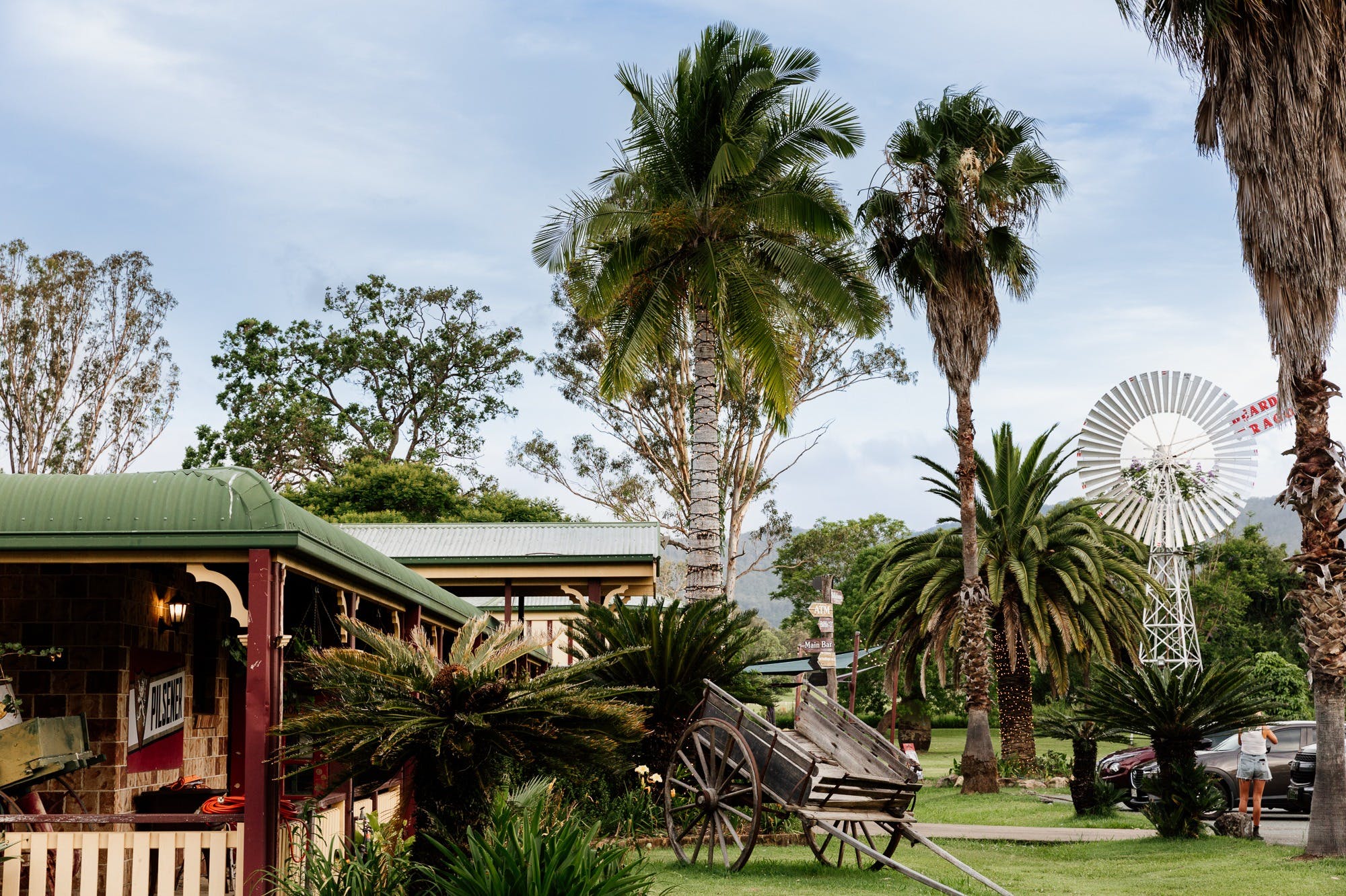 Landscape photo of bearded dragon hotel's grounds. Windmill in background. Trees and blue sky