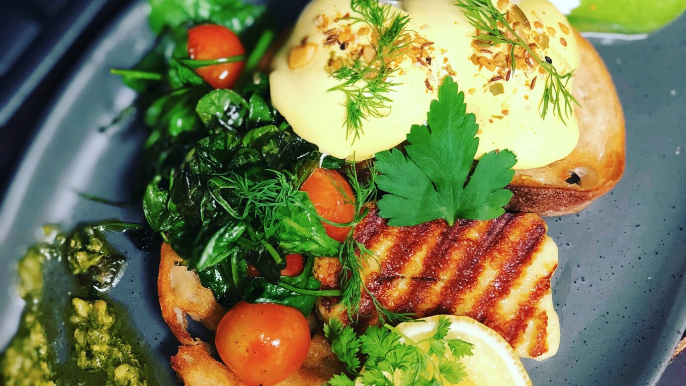 Bearded Dragon Hotel Scenic Rim