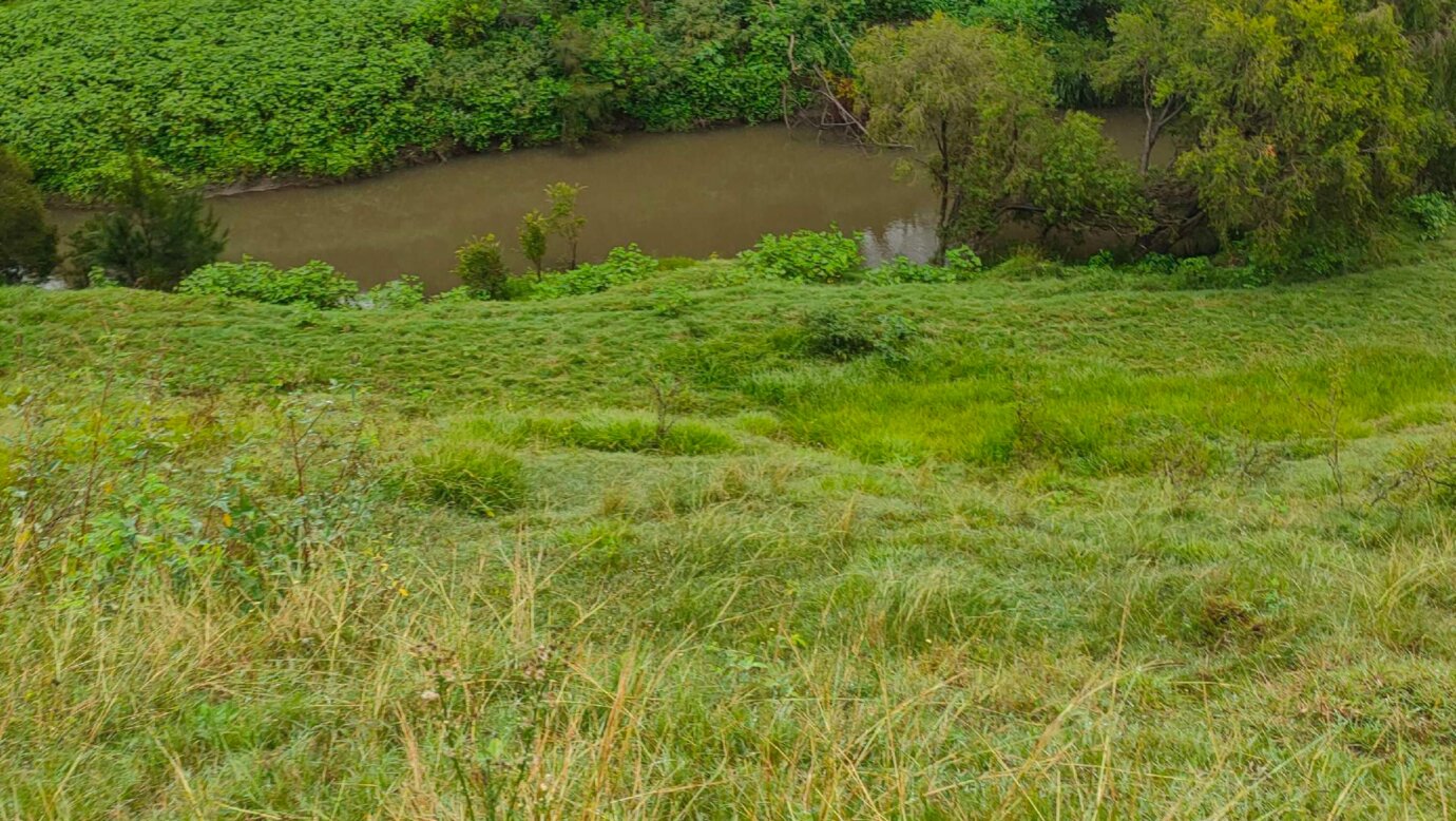 Albert River Camping