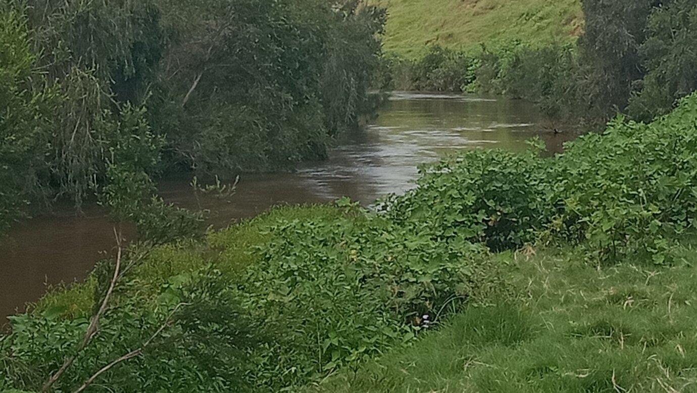 Albert River Camping