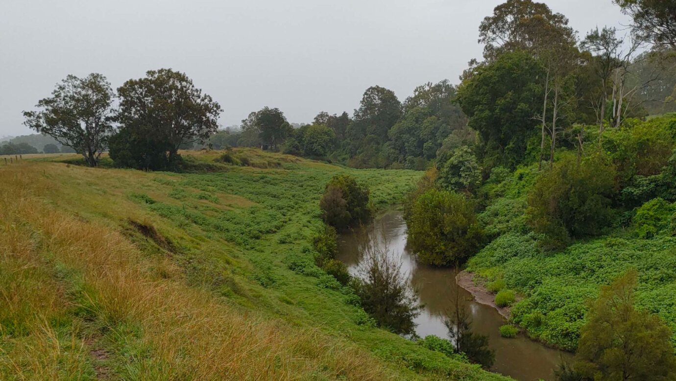 Albert River Camping