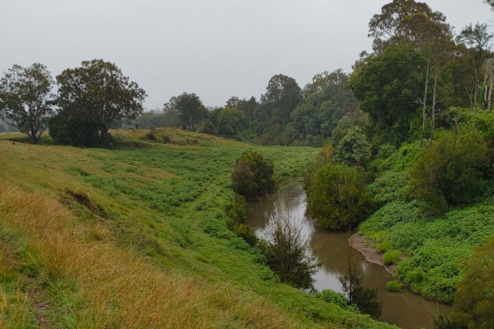 Albert River Camping