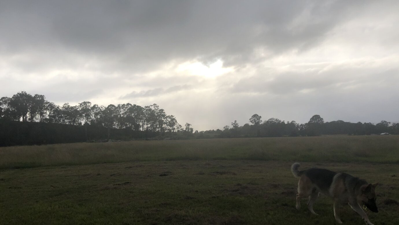 Albert River Camping