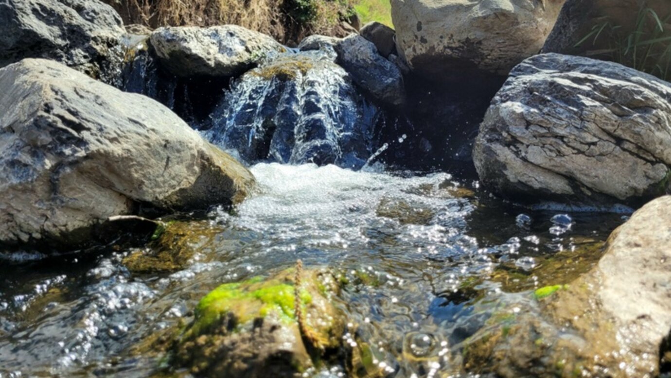 Frogs Hollow Scenic Rim