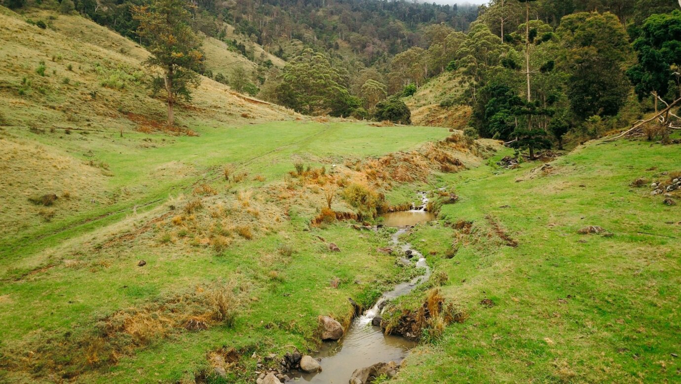 large campsite for big groups