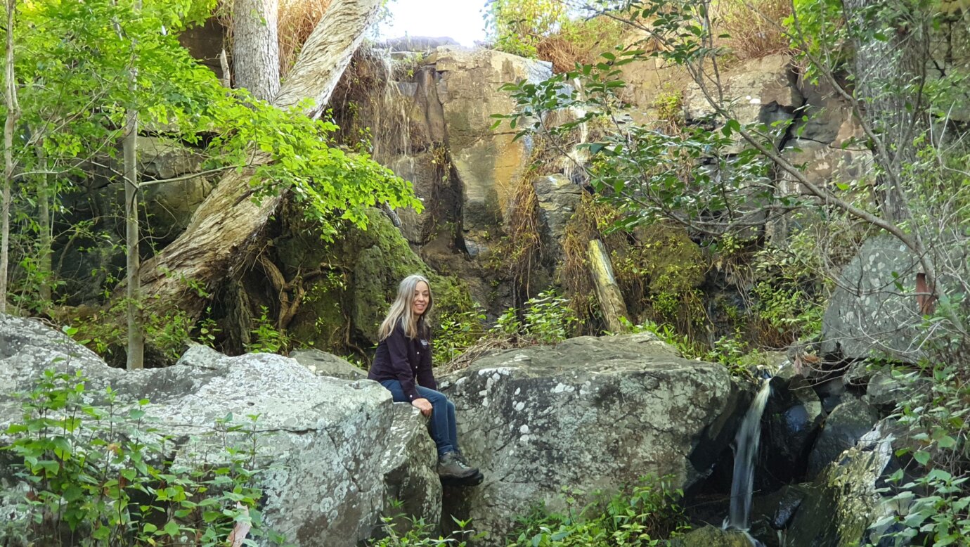Twisted Tree Falls