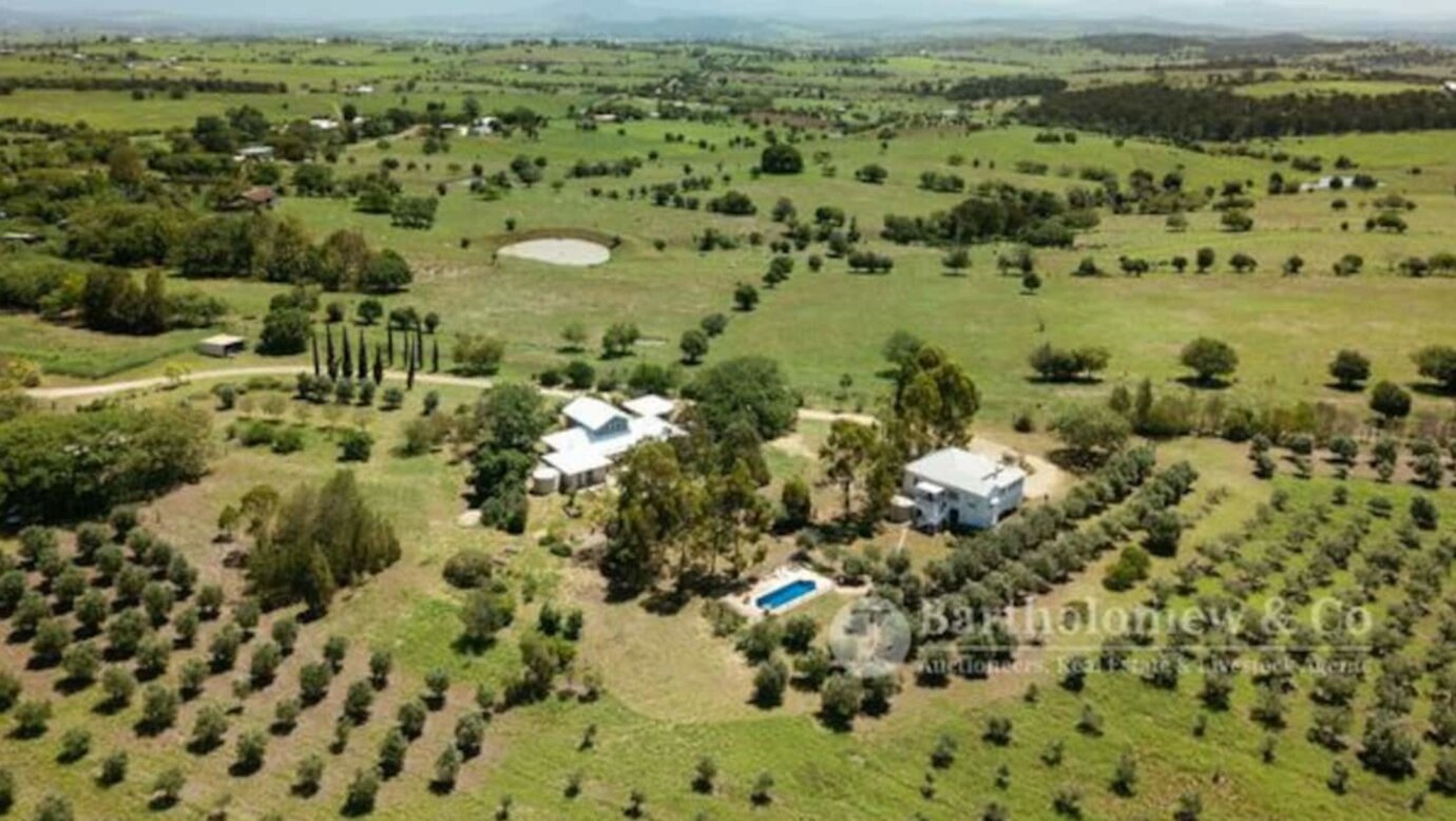 Olive View Estate - Scenic Rim
