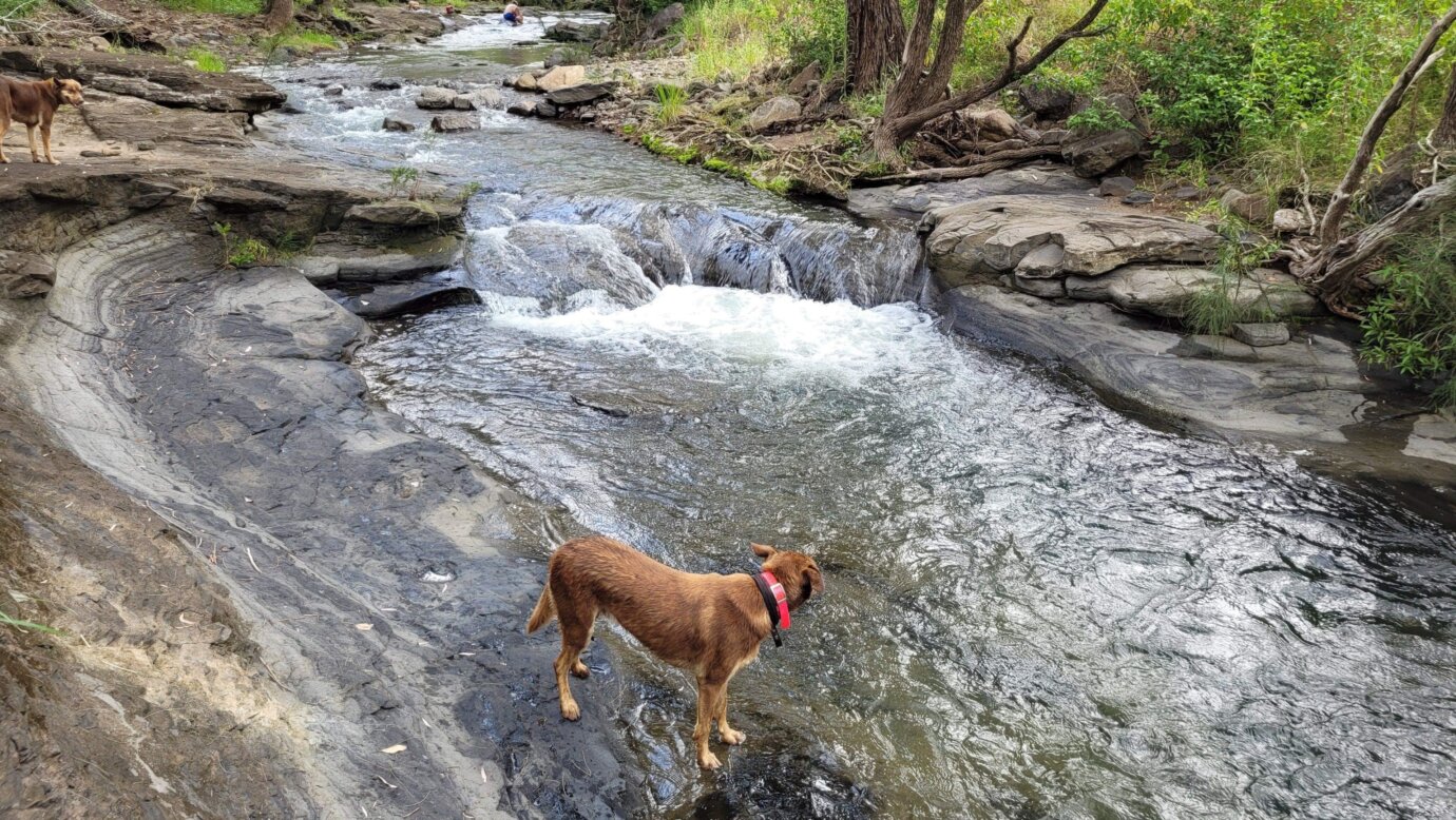 Over the Creek