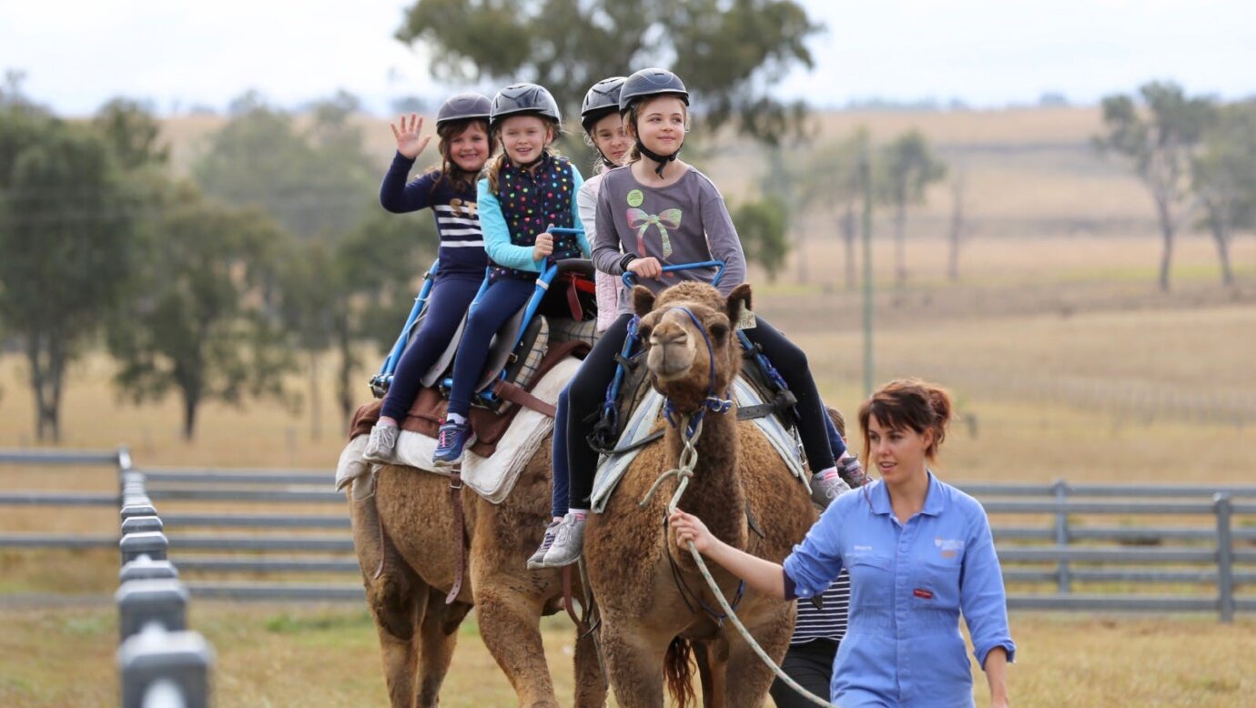 Camel Ride