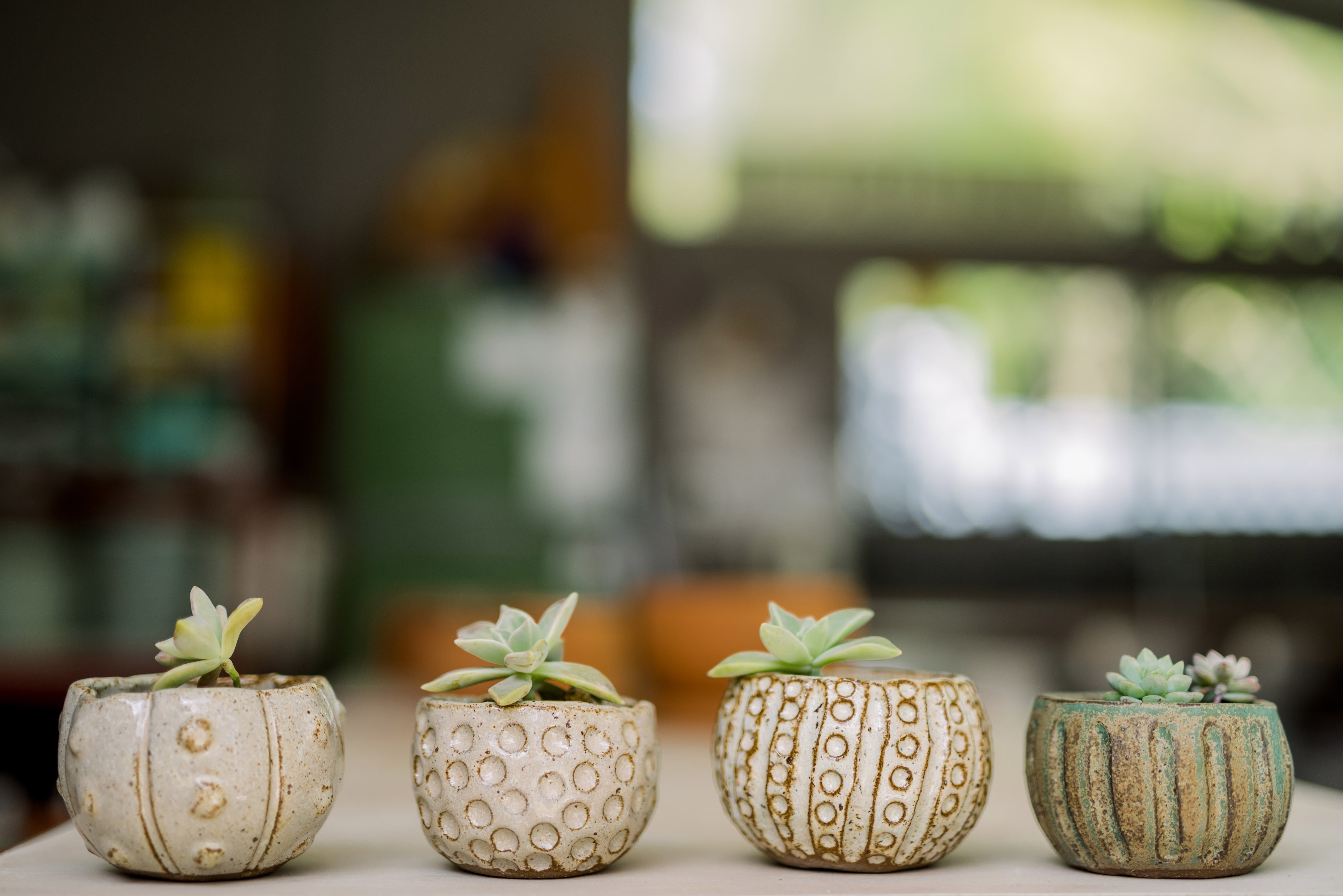 Happy Planter Pots by Wedding Ceramics by PJ Pottery