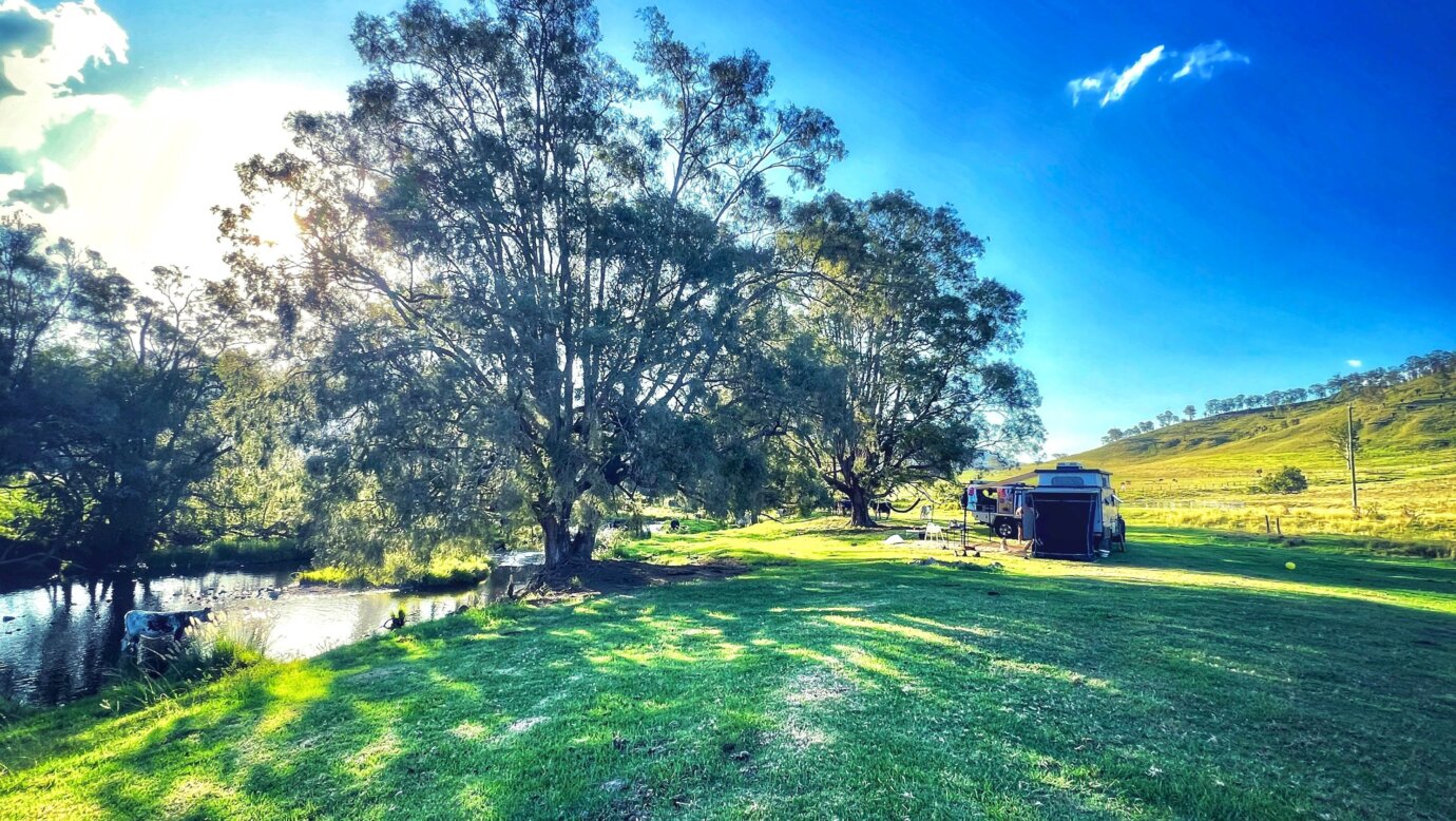 Quite often you'll be sharing the shade or river with our cattle