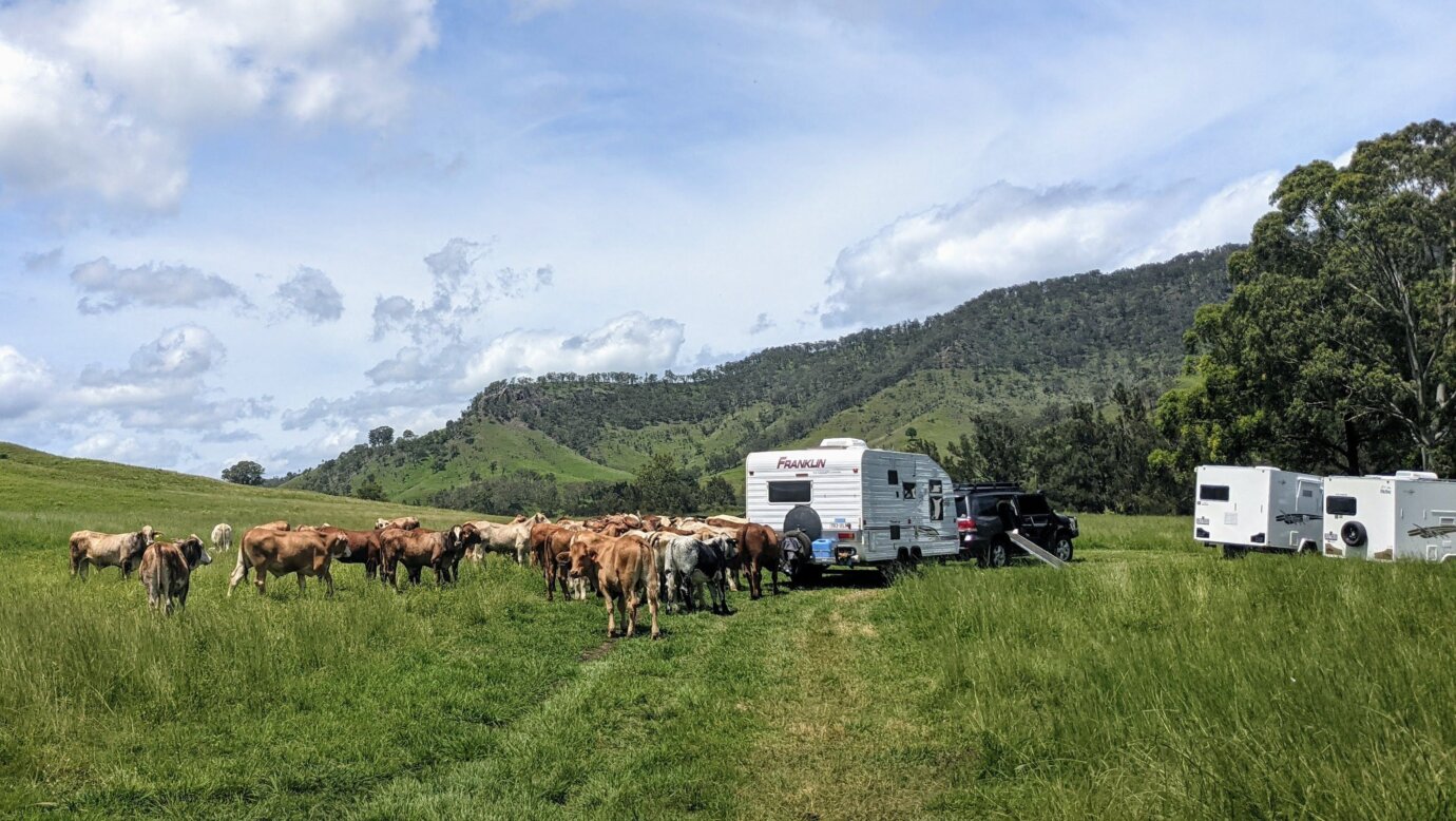 Campsites are in with our livestock