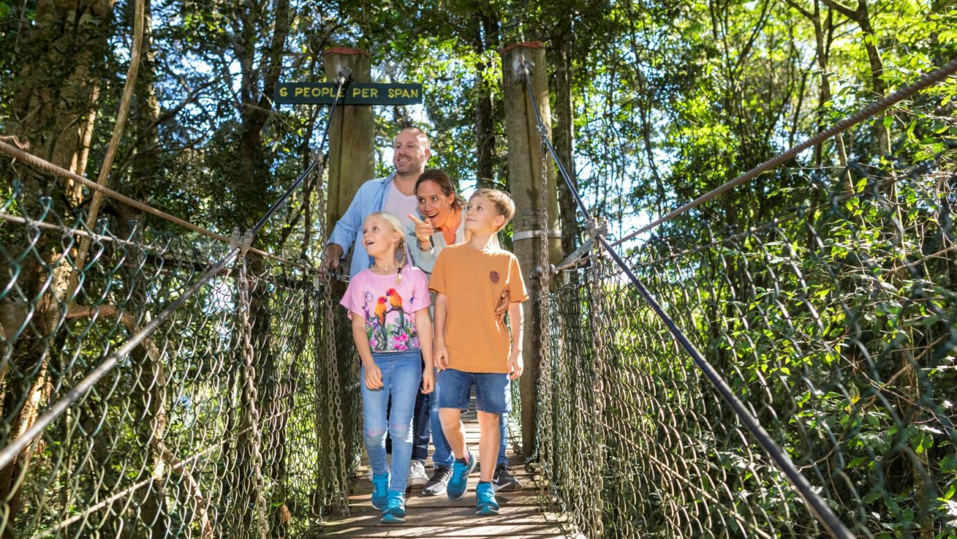 great family walks within the Scenic Rim
