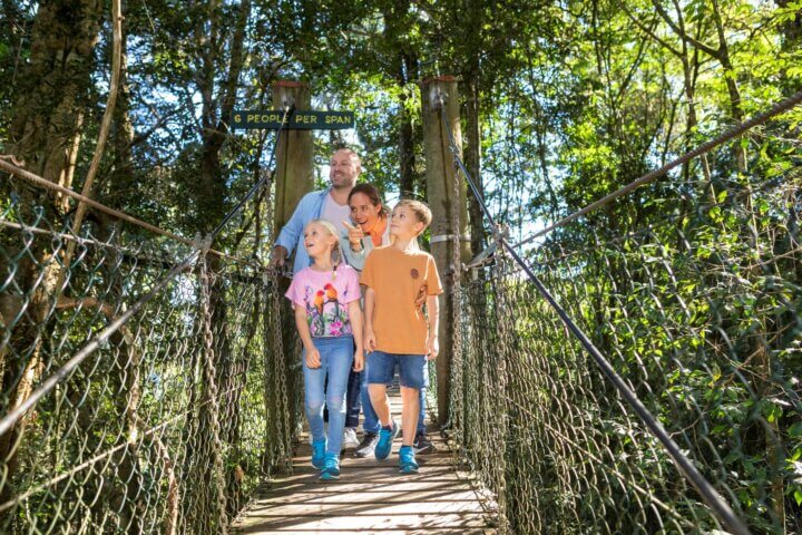 great family walks within the Scenic Rim