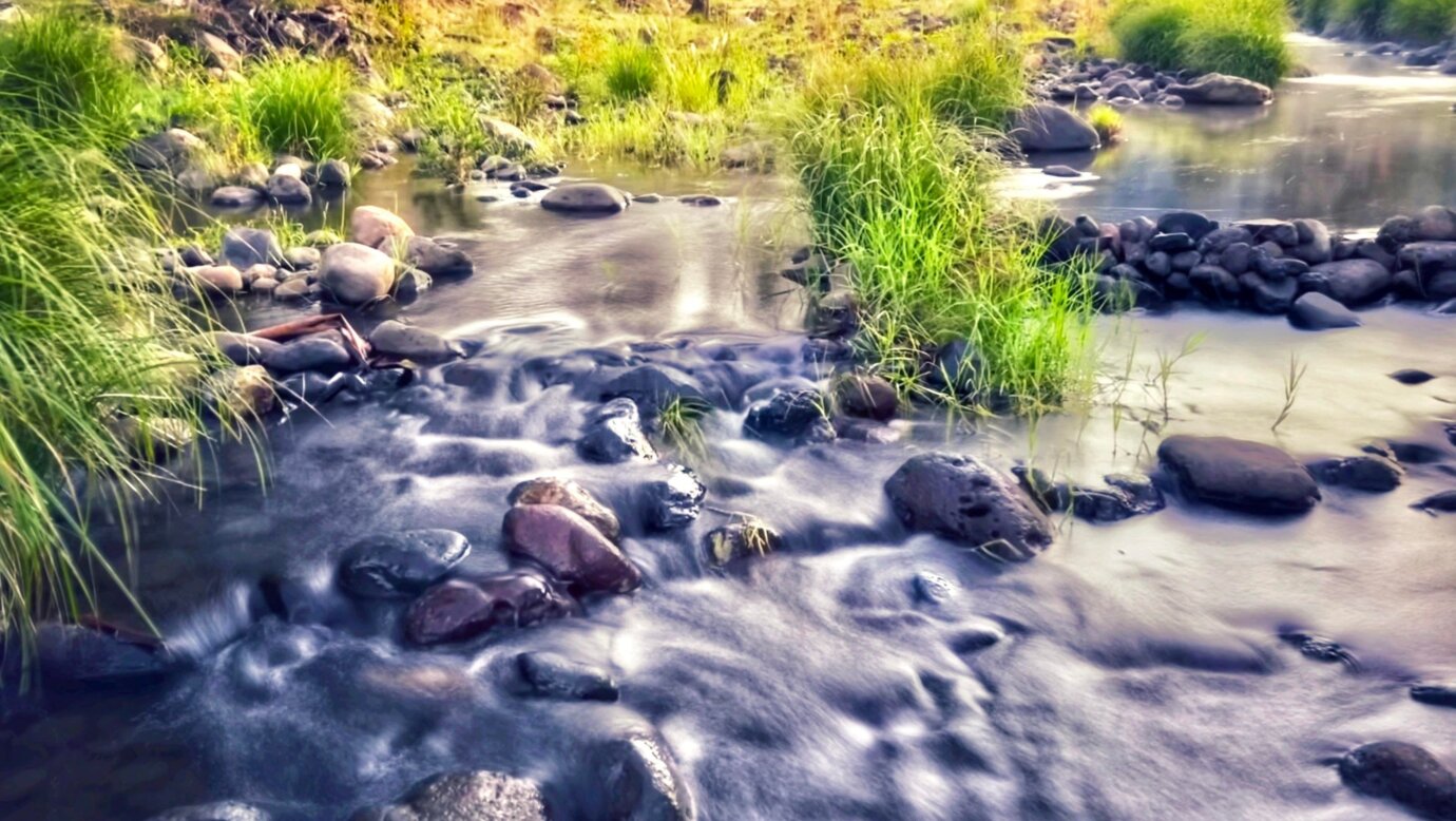 Our river flows direct from the hills of Lamington National Park