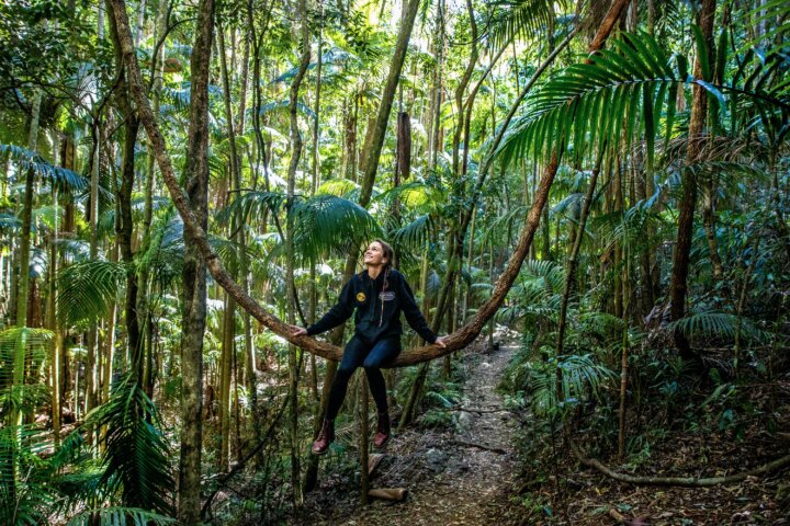 Escape To Tamborine Mountain