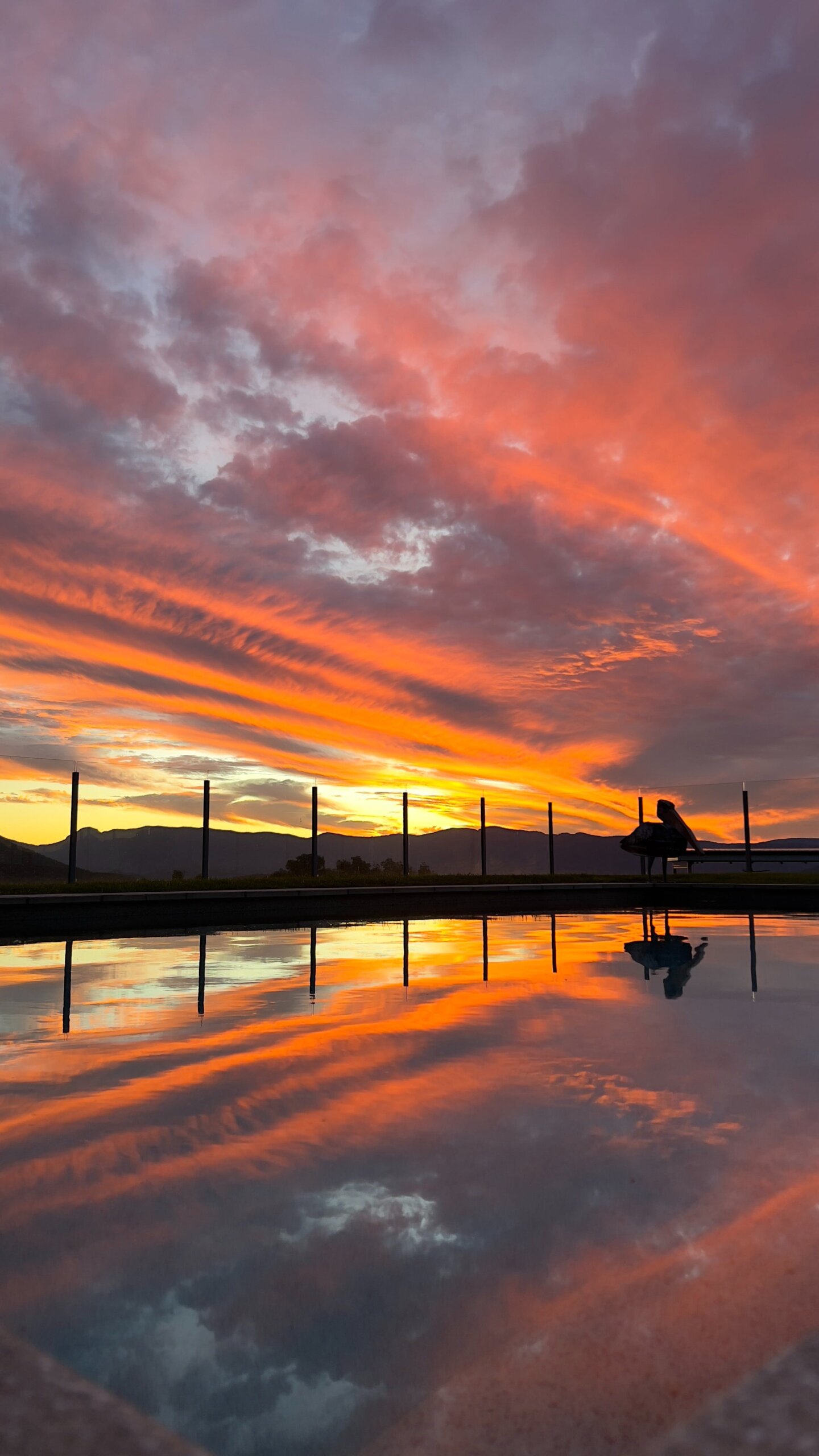 Unwind by the pool and soak in the stunning sunset views at Mount French Lodge