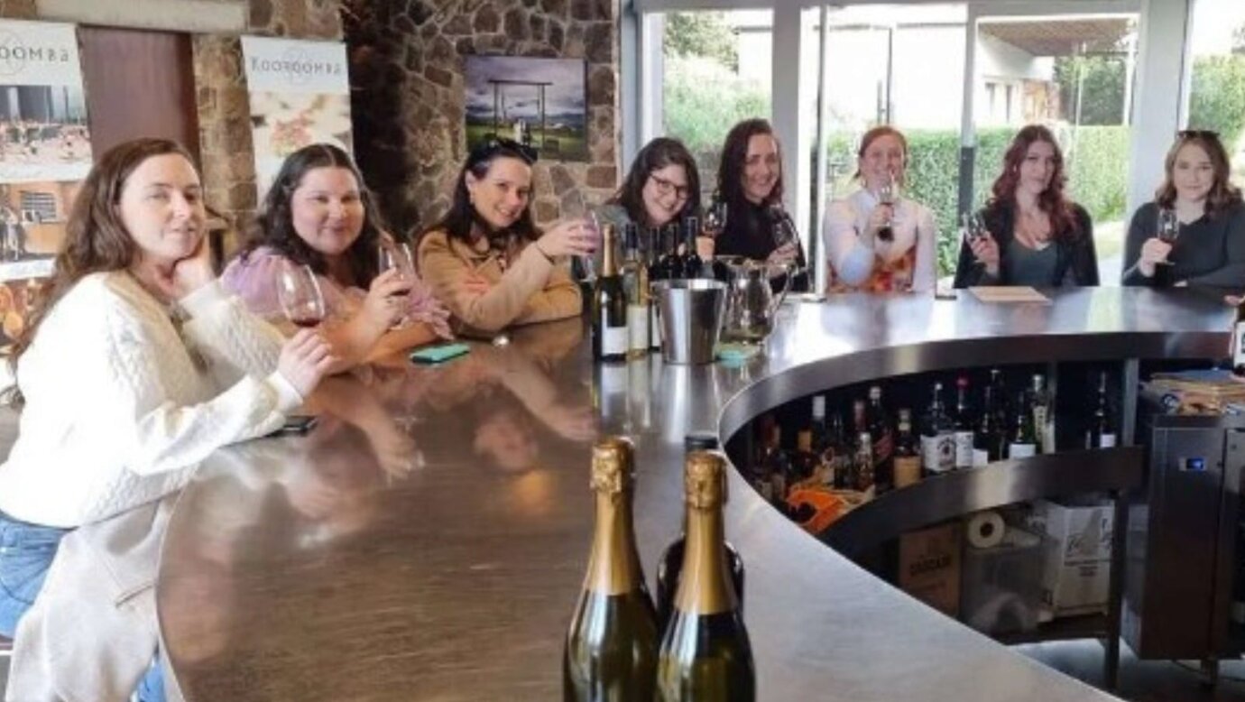 Mountain Wine Tours - Embark on a tasting adventure of hand-crafted wines, beers, and spirits